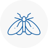 Moth Control Specialists In Morpeth